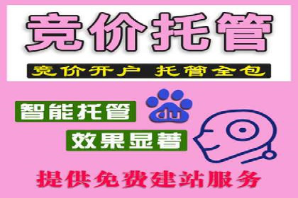 竞价SEM托管全解析：如何实现精准营销